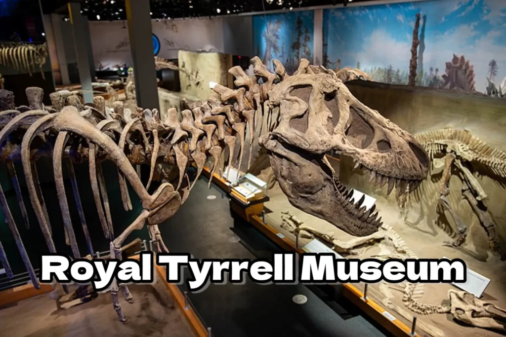 1 Day trip from Calgary to Drumheller and Discover the Dinosaur Museum